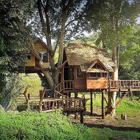 Rabeang Pasak Treehouse Resort Chiang Mai Exteriör bild