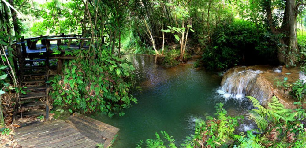 Rabeang Pasak Treehouse Resort Chiang Mai Exteriör bild
