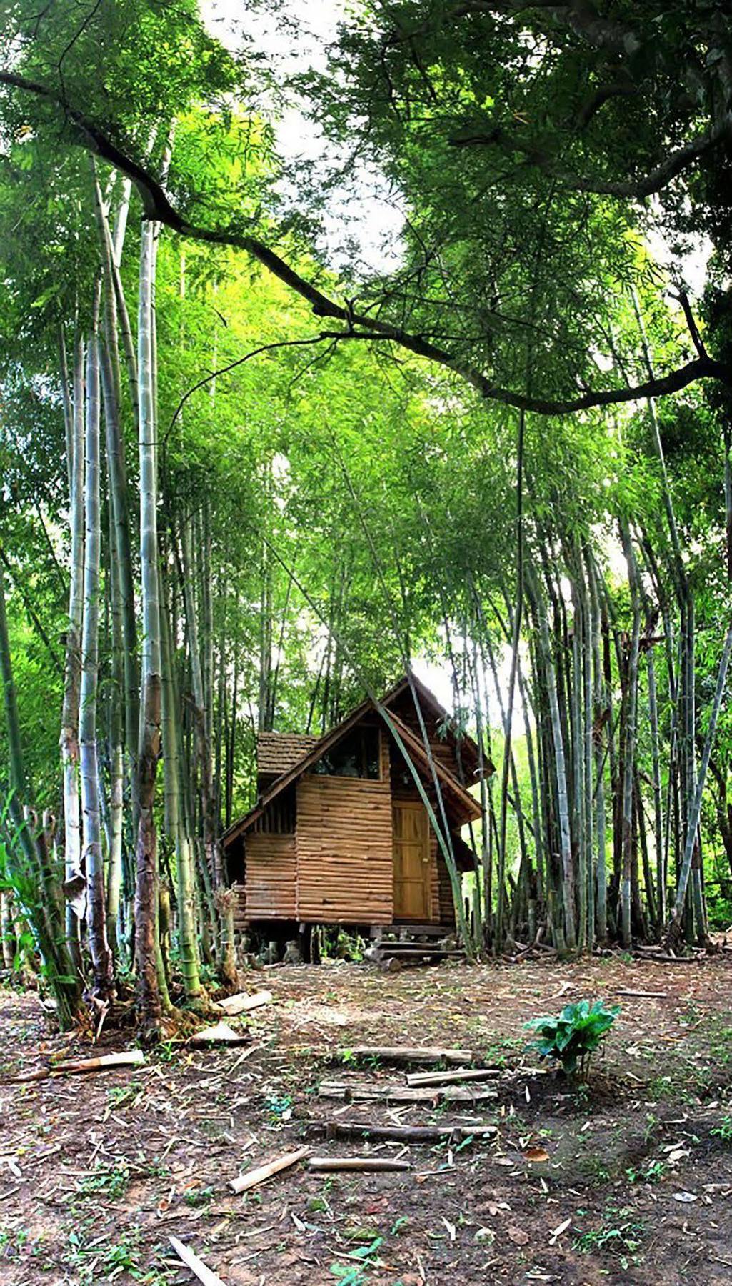 Rabeang Pasak Treehouse Resort Chiang Mai Exteriör bild
